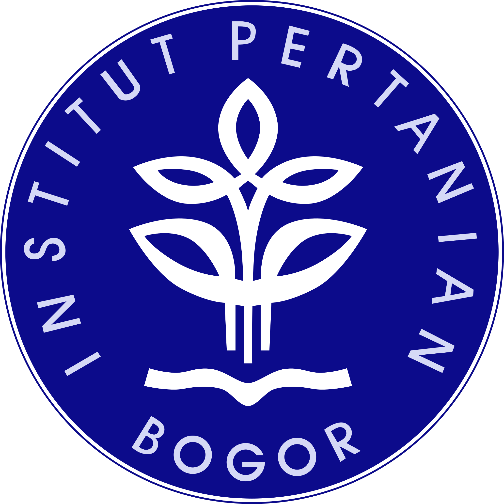 BSc Computer Science, IPB University